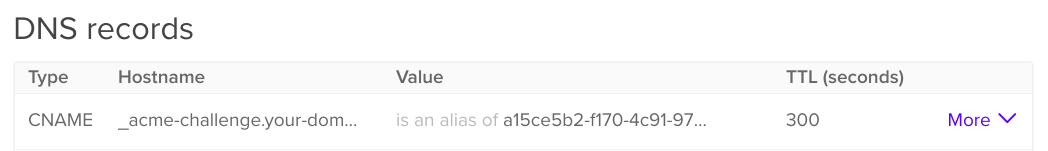 DigitalOcean DNS 控制面板的屏幕截图，显示了 ACME DNS 的 CNAME 记录示例